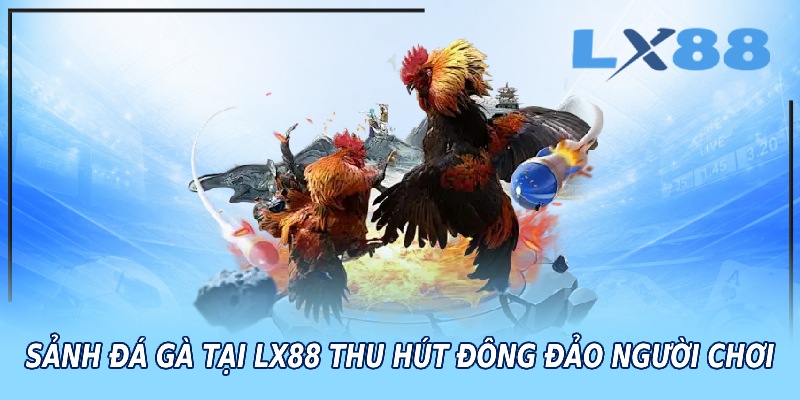 Sảnh đá gà tại LX88 thu hút đông đảo người chơi